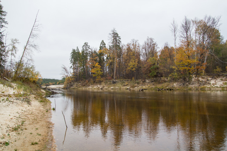 Осень на реке Керженец Тест