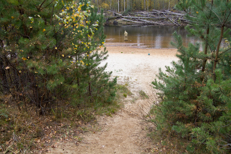 Осень на реке Керженец Тест фото 3
